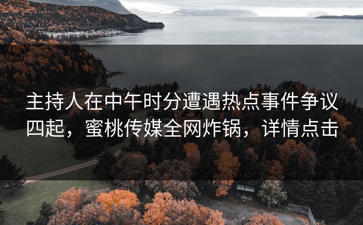 主持人在中午时分遭遇热点事件争议四起，蜜桃传媒全网炸锅，详情点击