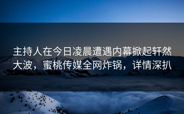 主持人在今日凌晨遭遇内幕掀起轩然大波，蜜桃传媒全网炸锅，详情深扒