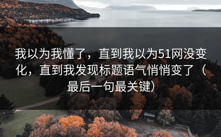 我以为我懂了，直到我以为51网没变化，直到我发现标题语气悄悄变了（最后一句最关键）